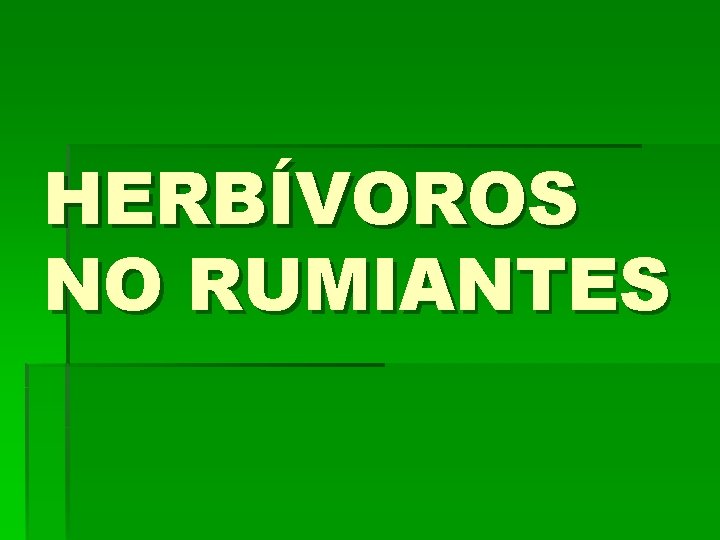 HERBÍVOROS NO RUMIANTES 