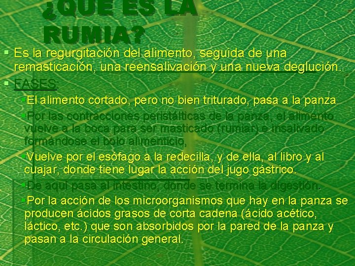 ¿QUÉ ES LA RUMIA? § Es la regurgitación del alimento, seguida de una remasticación,