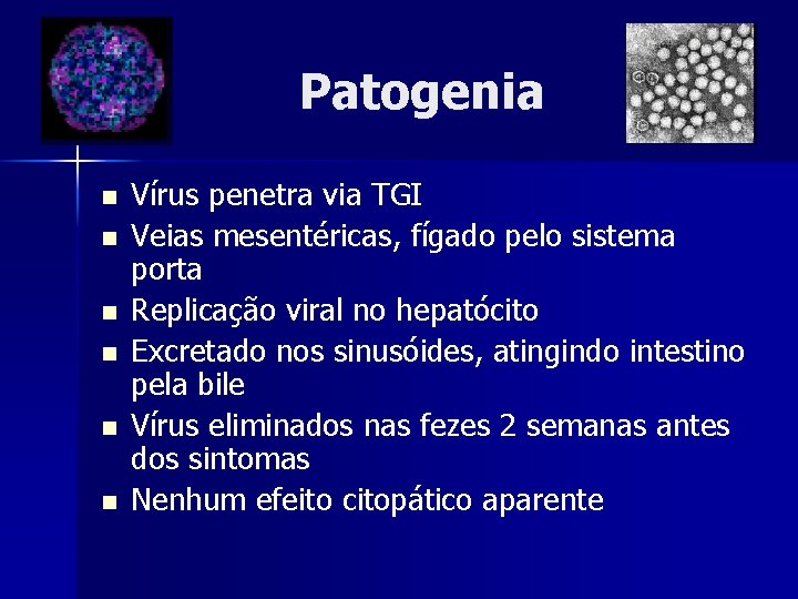 Patogenia n n n Vírus penetra via TGI Veias mesentéricas, fígado pelo sistema porta