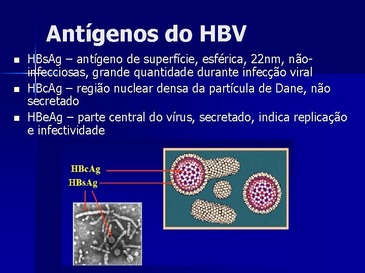Antígenos do HBV n n n HBs. Ag – antígeno de superfície, esférica, 22