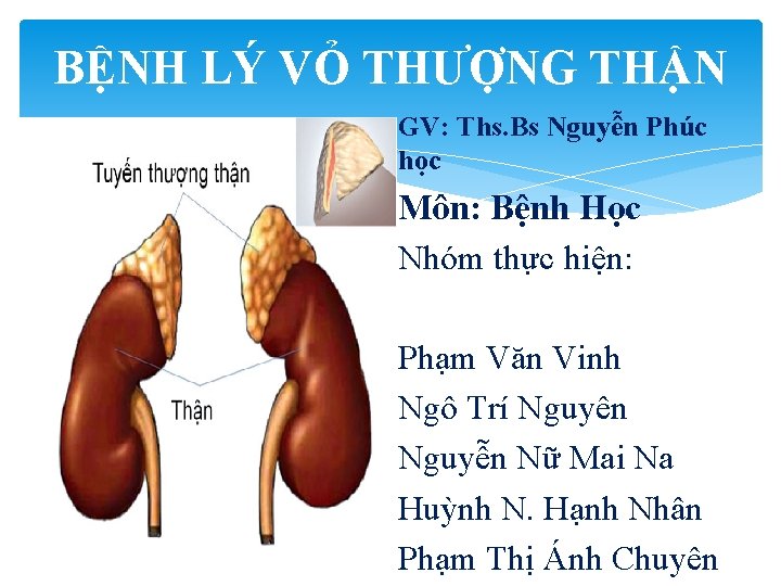 BỆNH LÝ VỎ THƯỢNG THẬN GV: Ths. Bs Nguyễn Phúc học Môn: Bệnh Học