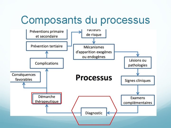 Composants du processus 