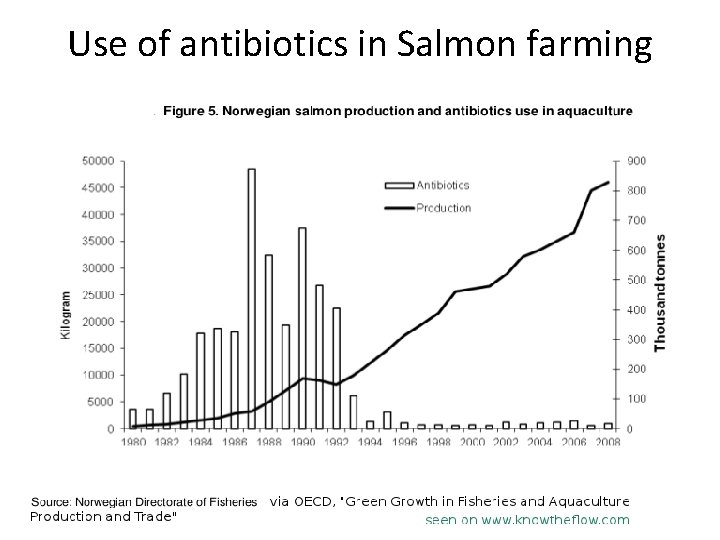 Use of antibiotics in Salmon farming 