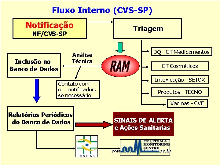 Fluxo Interno (CVS-SP) Notificação NF/CVS-SP Inclusão no Banco de Dados Análise Técnica Contato com