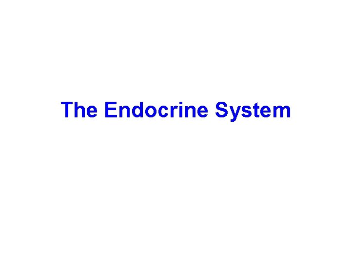 The Endocrine System 