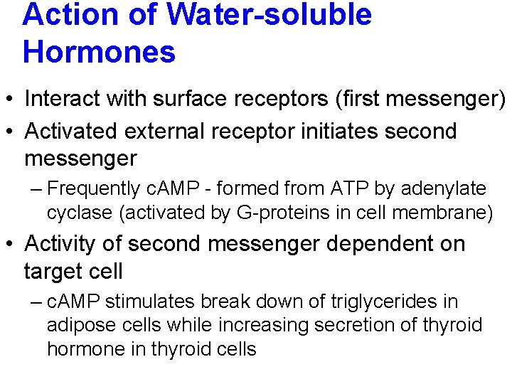 Action of Water-soluble Hormones • Interact with surface receptors (first messenger) • Activated external