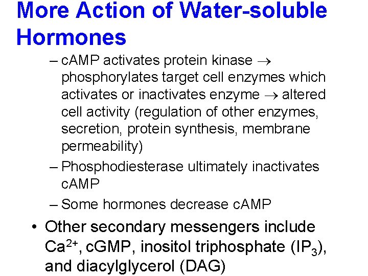 More Action of Water-soluble Hormones – c. AMP activates protein kinase phosphorylates target cell