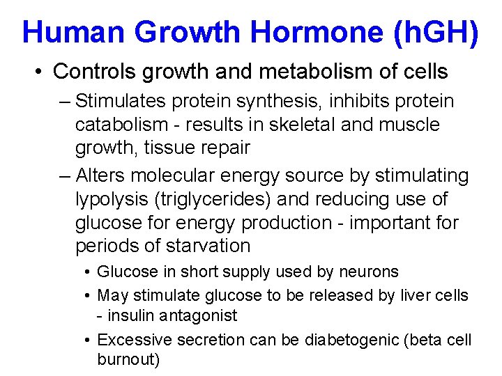 Human Growth Hormone (h. GH) • Controls growth and metabolism of cells – Stimulates