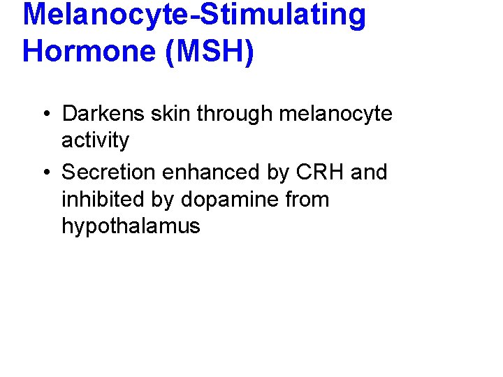 Melanocyte-Stimulating Hormone (MSH) • Darkens skin through melanocyte activity • Secretion enhanced by CRH