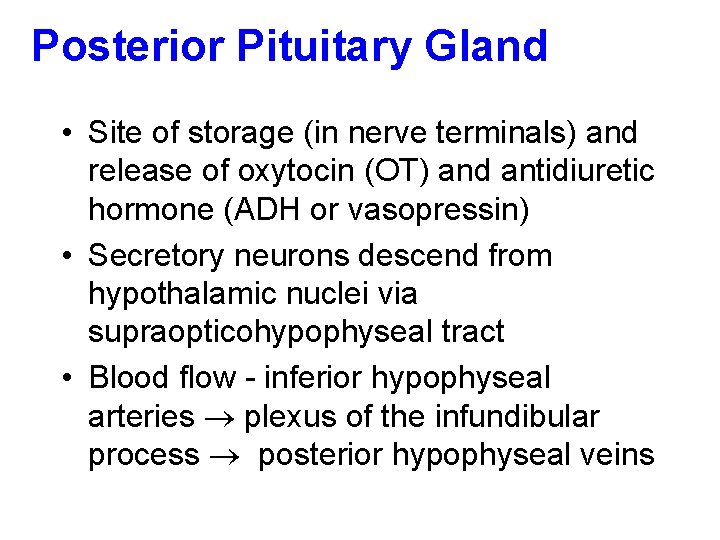 Posterior Pituitary Gland • Site of storage (in nerve terminals) and release of oxytocin