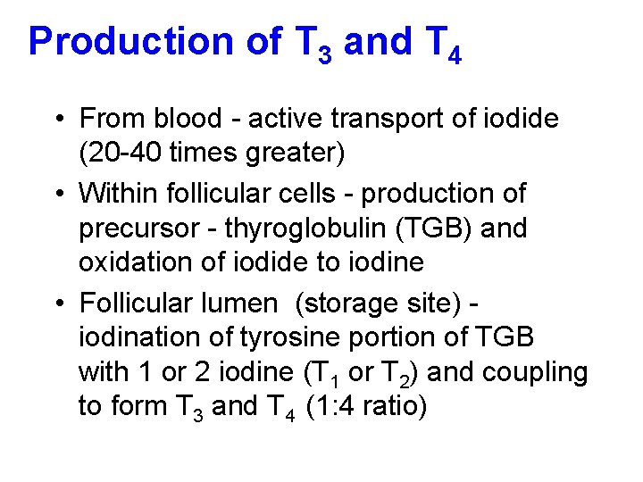 Production of T 3 and T 4 • From blood - active transport of