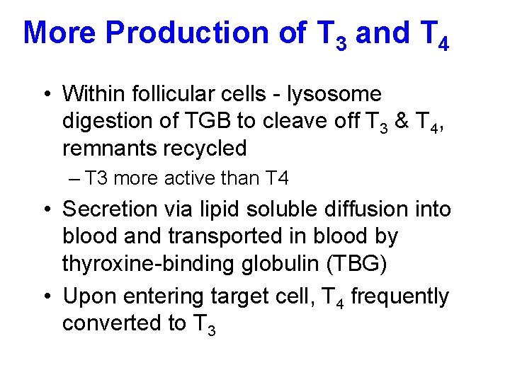 More Production of T 3 and T 4 • Within follicular cells - lysosome