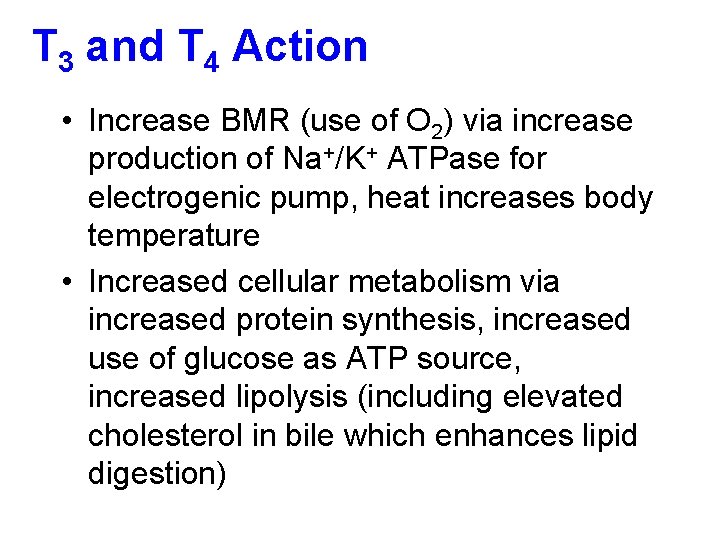 T 3 and T 4 Action • Increase BMR (use of O 2) via