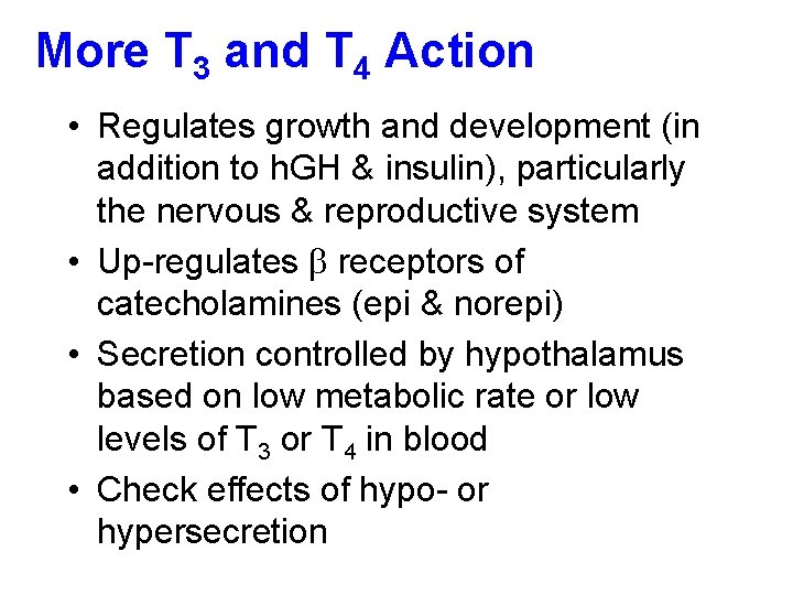 More T 3 and T 4 Action • Regulates growth and development (in addition