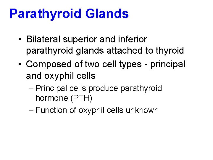 Parathyroid Glands • Bilateral superior and inferior parathyroid glands attached to thyroid • Composed