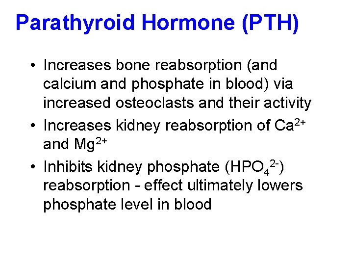 Parathyroid Hormone (PTH) • Increases bone reabsorption (and calcium and phosphate in blood) via