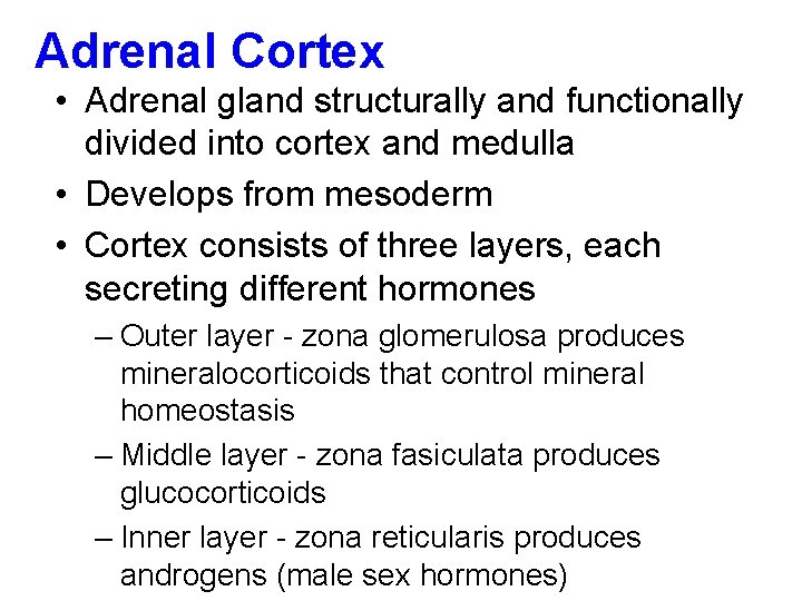 Adrenal Cortex • Adrenal gland structurally and functionally divided into cortex and medulla •