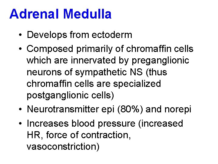 Adrenal Medulla • Develops from ectoderm • Composed primarily of chromaffin cells which are