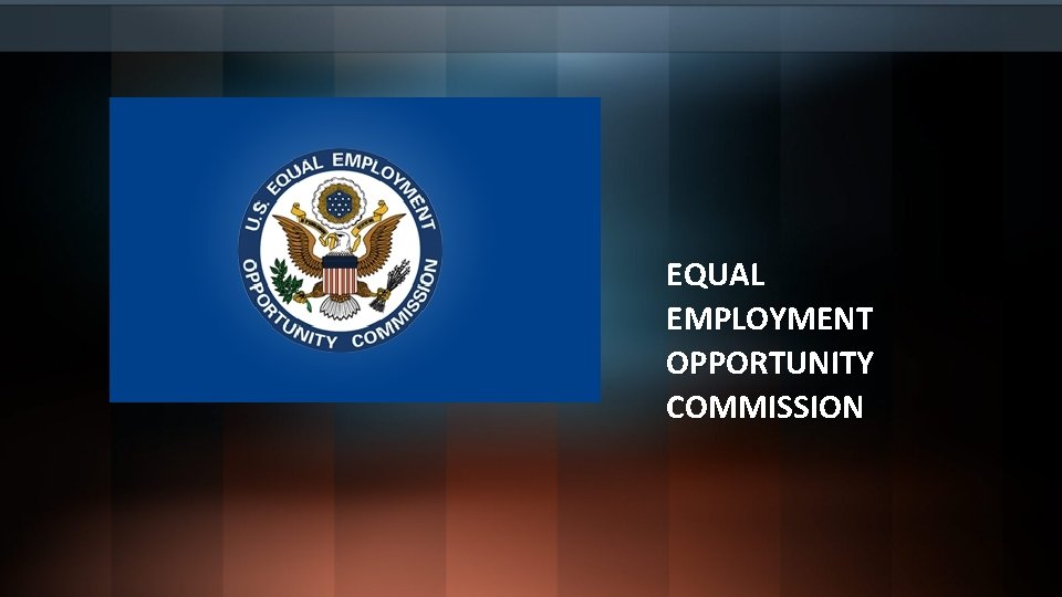 EQUAL EMPLOYMENT OPPORTUNITY COMMISSION 