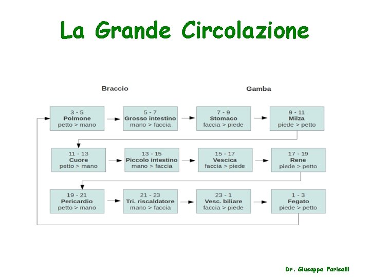 La Grande Circolazione Dr. Giuseppe Fariselli 