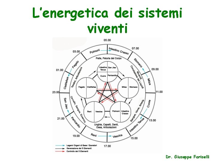 L’energetica dei sistemi viventi Dr. Giuseppe Fariselli 