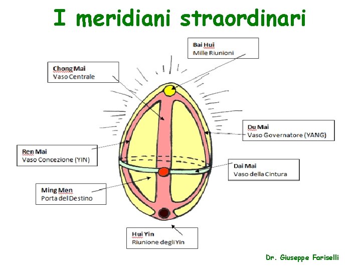 I meridiani straordinari Dr. Giuseppe Fariselli 