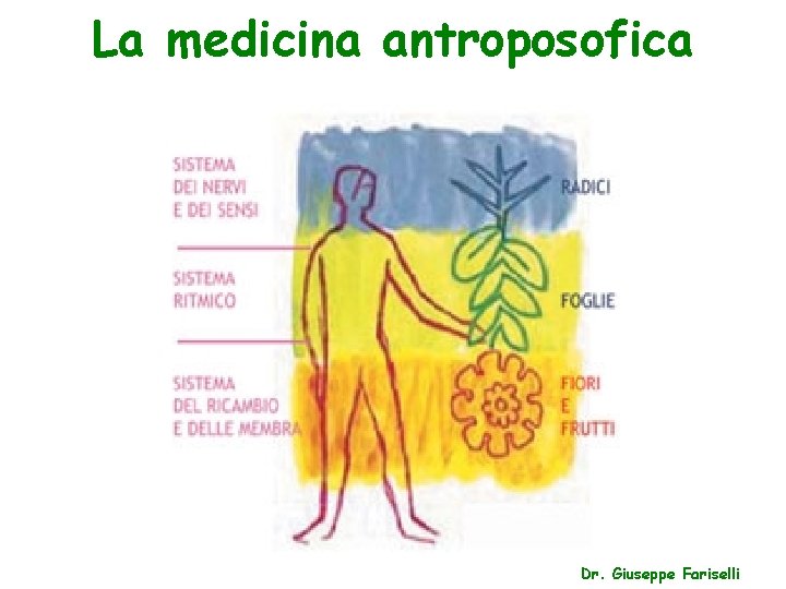 La medicina antroposofica Dr. Giuseppe Fariselli 