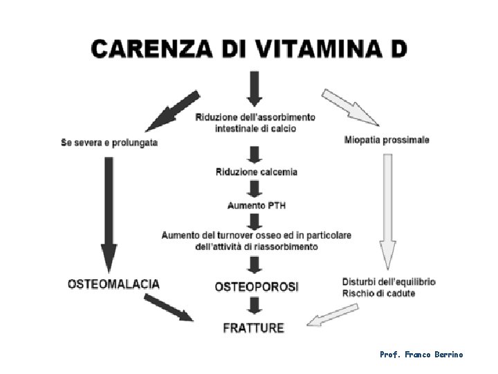 Prof. Franco Berrino 