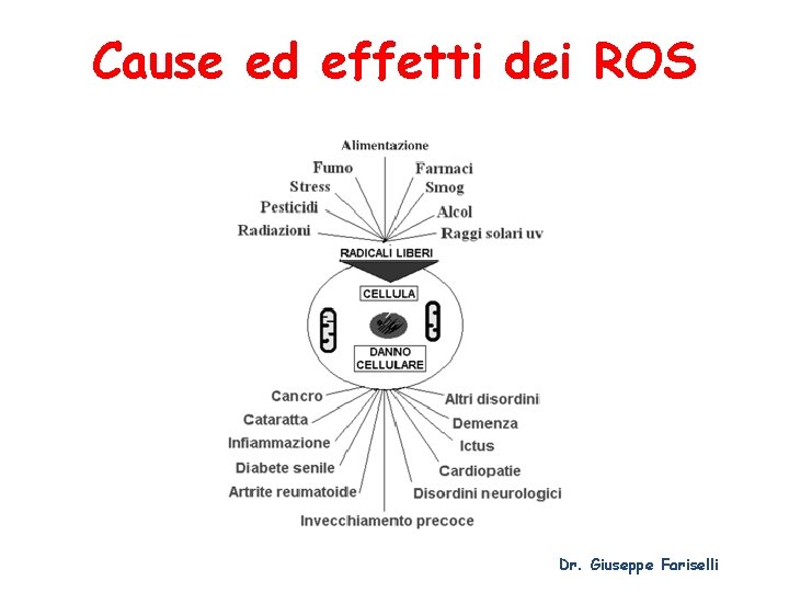 Cause ed effetti dei ROS Dr. Giuseppe Fariselli 