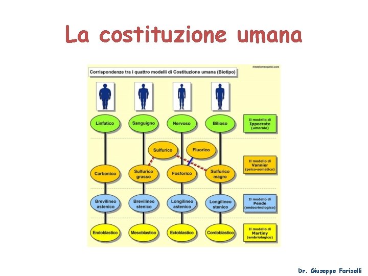 La costituzione umana Dr. Giuseppe Fariselli 