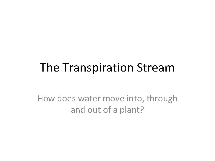 The Transpiration Stream How does water move into, through and out of a plant?