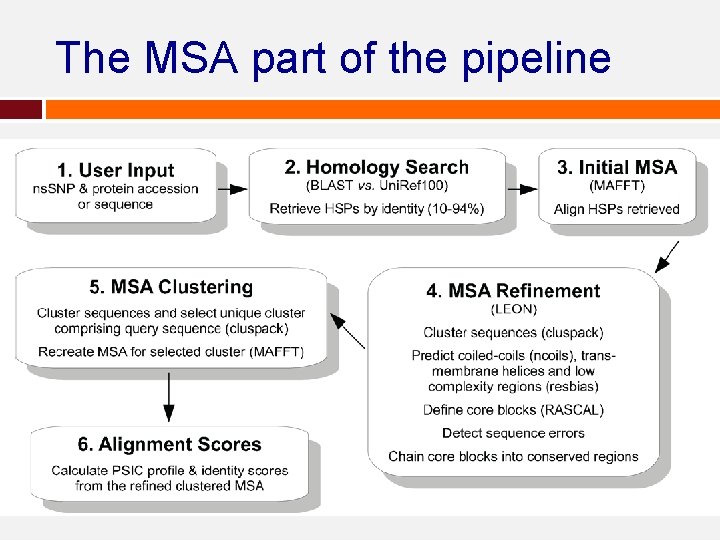 The MSA part of the pipeline The MSA part of the pipeline