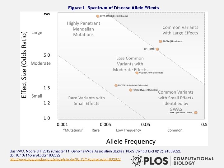 Figure 1. Spectrum of Disease Allele Effects. Bush WS, Moore JH (2012) Chapter 11: Figure 1. Spectrum of Disease Allele Effects. Bush WS, Moore JH (2012) Chapter 11:
