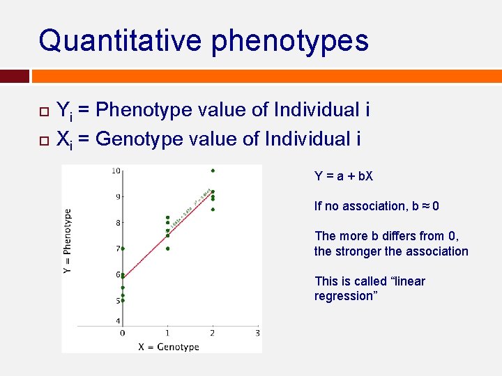 Quantitative phenotypes Yi = Phenotype value of Individual i Xi = Genotype value of Quantitative phenotypes Yi = Phenotype value of Individual i Xi = Genotype value of