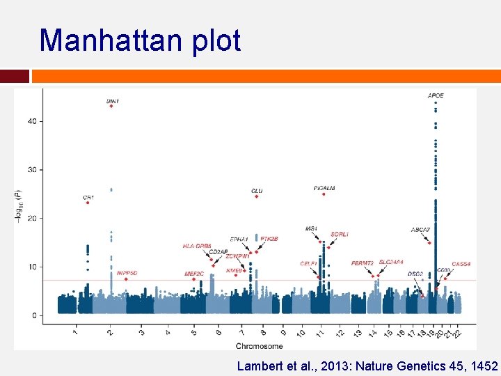 Manhattan plot Lambert et al. , 2013: Nature Genetics 45, 1452 Manhattan plot Lambert et al. , 2013: Nature Genetics 45, 1452