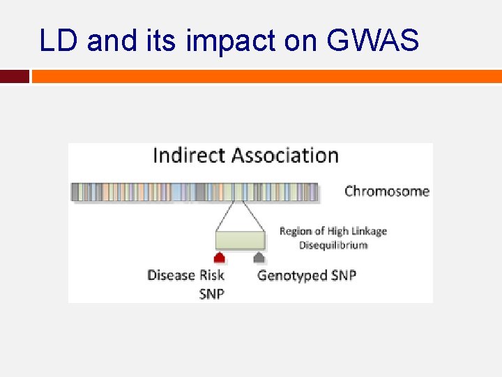 LD and its impact on GWAS LD and its impact on GWAS