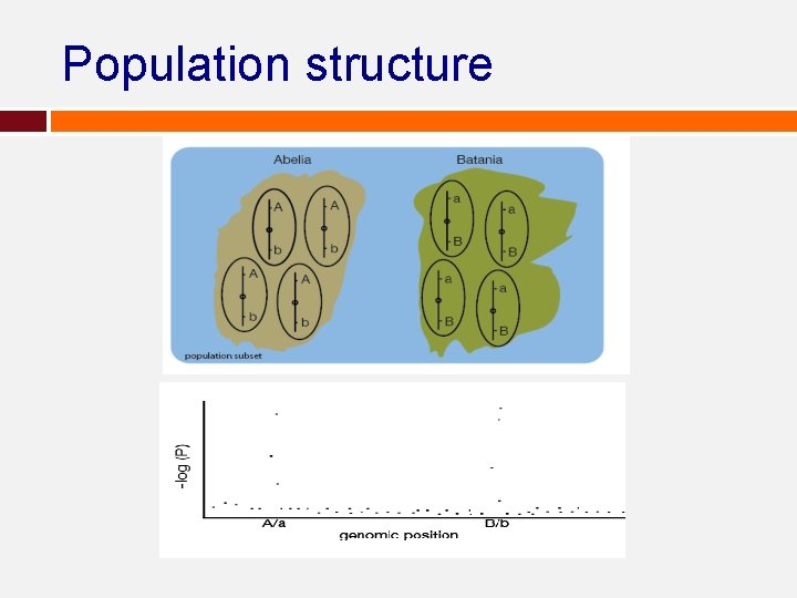 Population structure Population structure