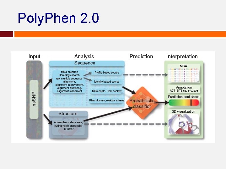 Poly. Phen 2. 0 Poly. Phen 2. 0