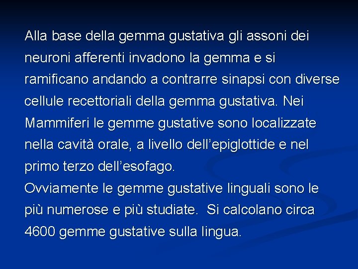 Alla base della gemma gustativa gli assoni dei neuroni afferenti invadono la gemma e