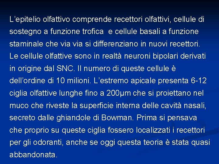 L’epitelio olfattivo comprende recettori olfattivi, cellule di sostegno a funzione trofica e cellule basali