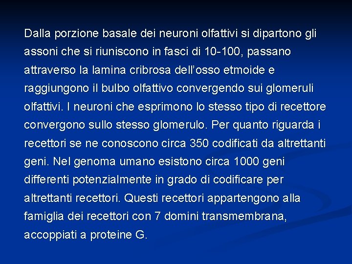 Dalla porzione basale dei neuroni olfattivi si dipartono gli assoni che si riuniscono in