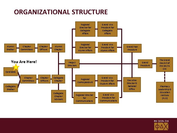 ORGANIZATIONAL STRUCTURE Alumni Brother Chapter Committees Chapter Officers Alumni Chapter You Are Here! Regional