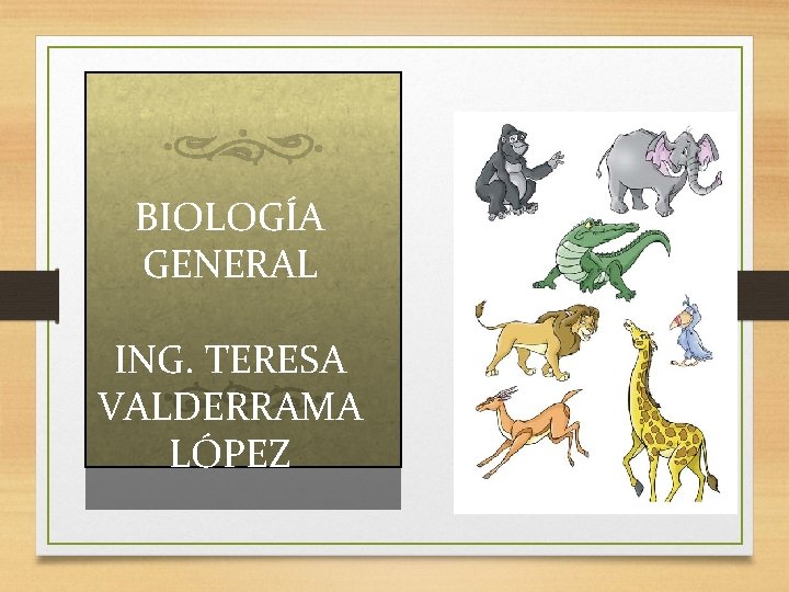 BIOLOGÍA GENERAL ING. TERESA VALDERRAMA LÓPEZ 