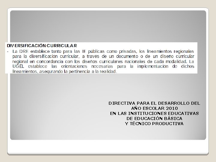 DIRECTIVA PARA EL DESARROLLO DEL AÑO ESCOLAR 2010 EN LAS INSTITUCIONES EDUCATIVAS DE EDUCACIÓN