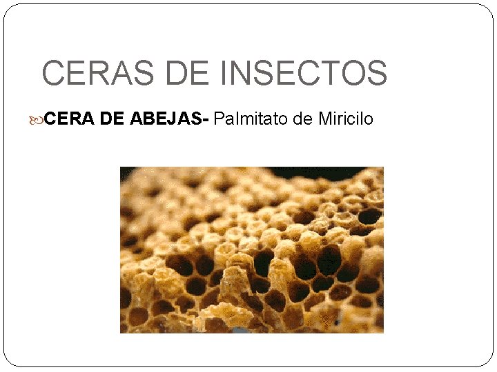 CERAS DE INSECTOS CERA DE ABEJAS- Palmitato de Miricilo 