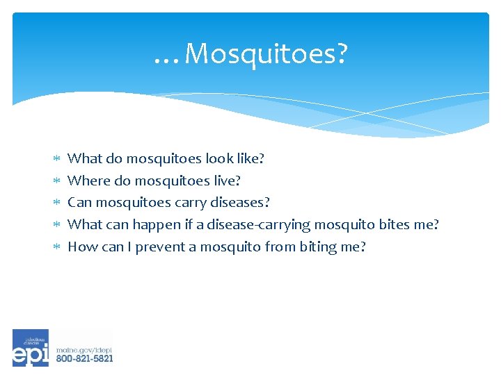 …Mosquitoes? What do mosquitoes look like? Where do mosquitoes live? Can mosquitoes carry diseases?