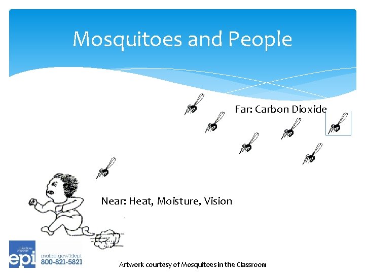 Mosquitoes and People Far: Carbon Dioxide Near: Heat, Moisture, Vision Artwork courtesy of Mosquitoes