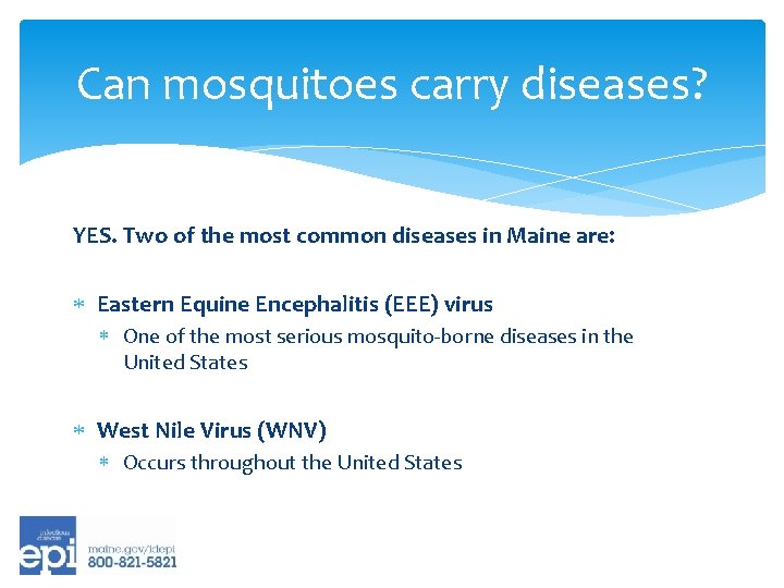 Can mosquitoes carry diseases? YES. Two of the most common diseases in Maine are: