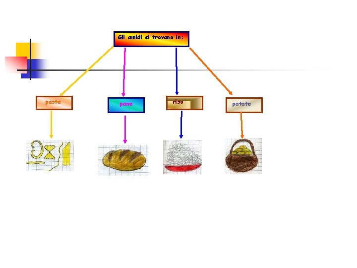 Gli amidi si trovano in: pasta pane riso patate 