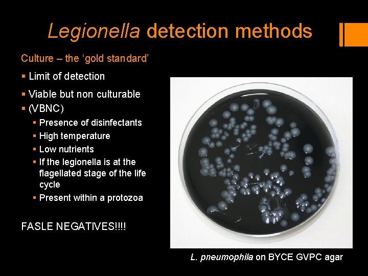 Legionella detection methods Culture – the ‘gold standard’ Detection methods § Limit of detection Legionella detection methods Culture – the ‘gold standard’ Detection methods § Limit of detection